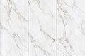 48 × 96 Sinavite White