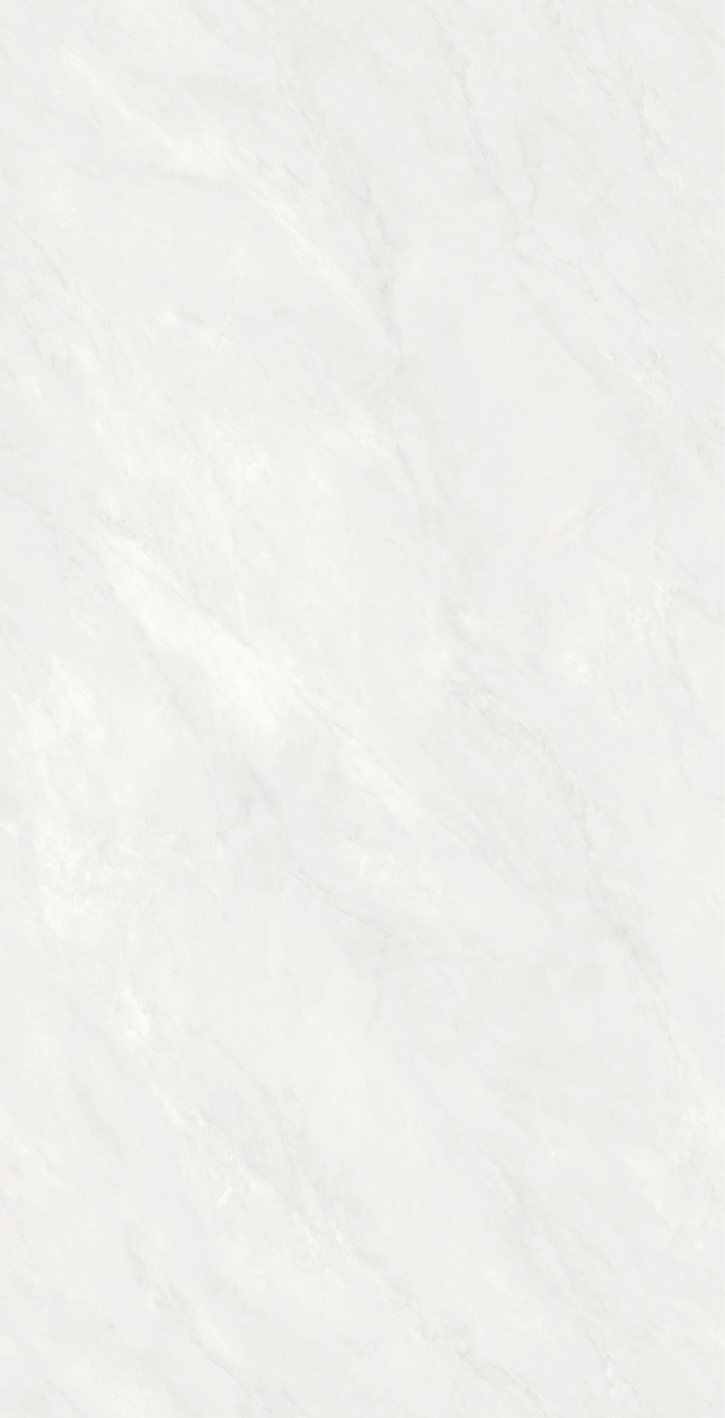 24 X 48 Mandheling