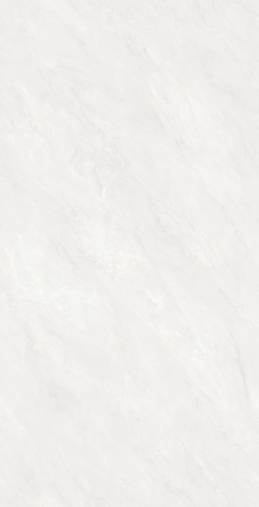 24 X 48 Mandheling